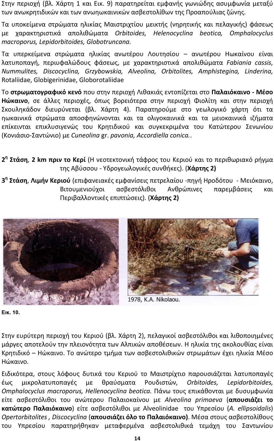 Globotruncana.