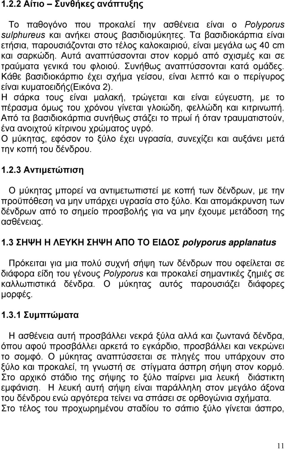 Συνήθως αναπτύσσονται κατά οµάδες. Κάθε βασιδιοκάρπιο έχει σχήµα γείσου, είναι λεπτό και ο περίγυρος είναι κυµατοειδής(εικόνα 2).