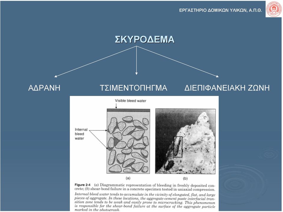 ΣΚΥΡΟ ΕΜΑ Α ΡΑΝΗ