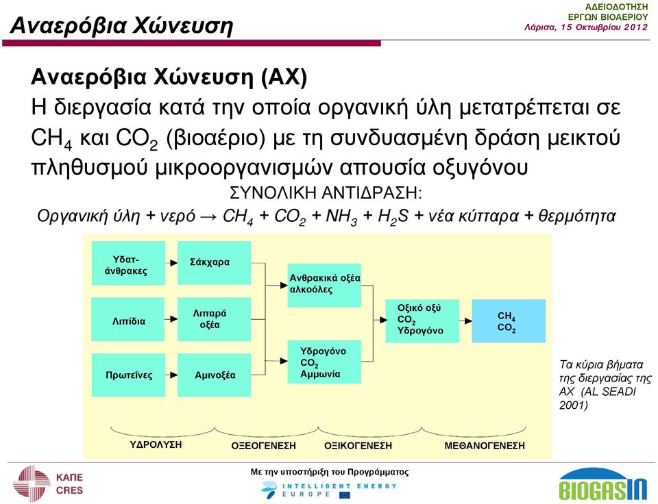 2 S + νέα κύτταρα + θερμότητα Υδατάνθρακες Σάκχαρα Ανθρακικά οξέα αλκοόλες Λιπίδια Λιπαρά οξέα Οξικό οξύ CO 2 Υδρογόνο CH 4 CO 2