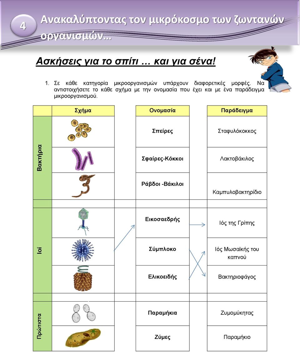 Να αντιστοιχήσετε το κάθε σχήμα με την ονομασία που έχει και με ένα παράδειγμα μικροοργανισμού.