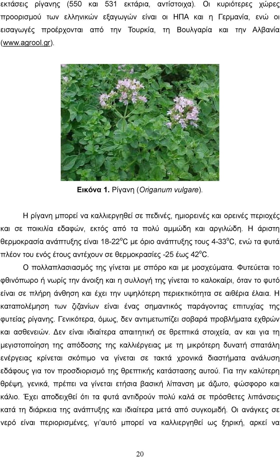 Ρίγανη (Origanum vulgare). Η ρίγανη µπορεί να καλλιεργηθεί σε πεδινές, ηµιορεινές και ορεινές περιοχές και σε ποικιλία εδαφών, εκτός από τα πολύ αµµώδη και αργιλώδη.