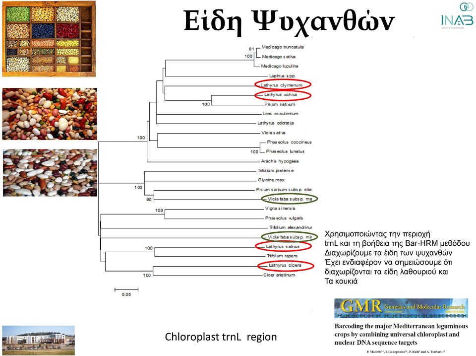 ψυχανθών Έχει ενδιαφέρον να σημειώσουμε ότι