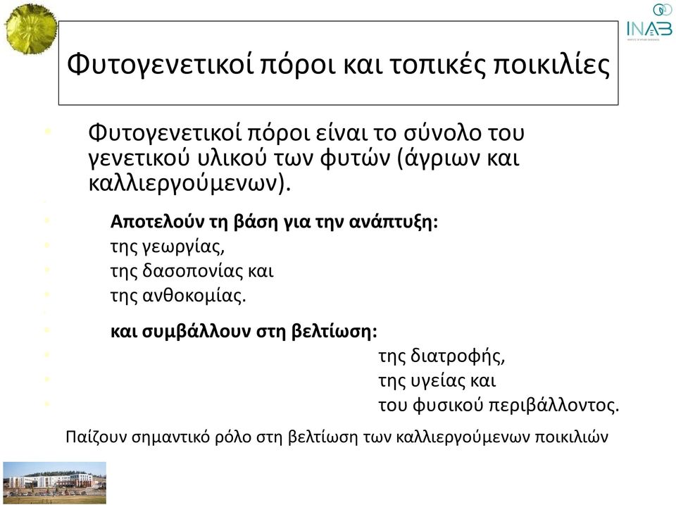 Αποτελούν τη βάση για την ανάπτυξη: της γεωργίας, της δασοπονίας και της ανθοκομίας.