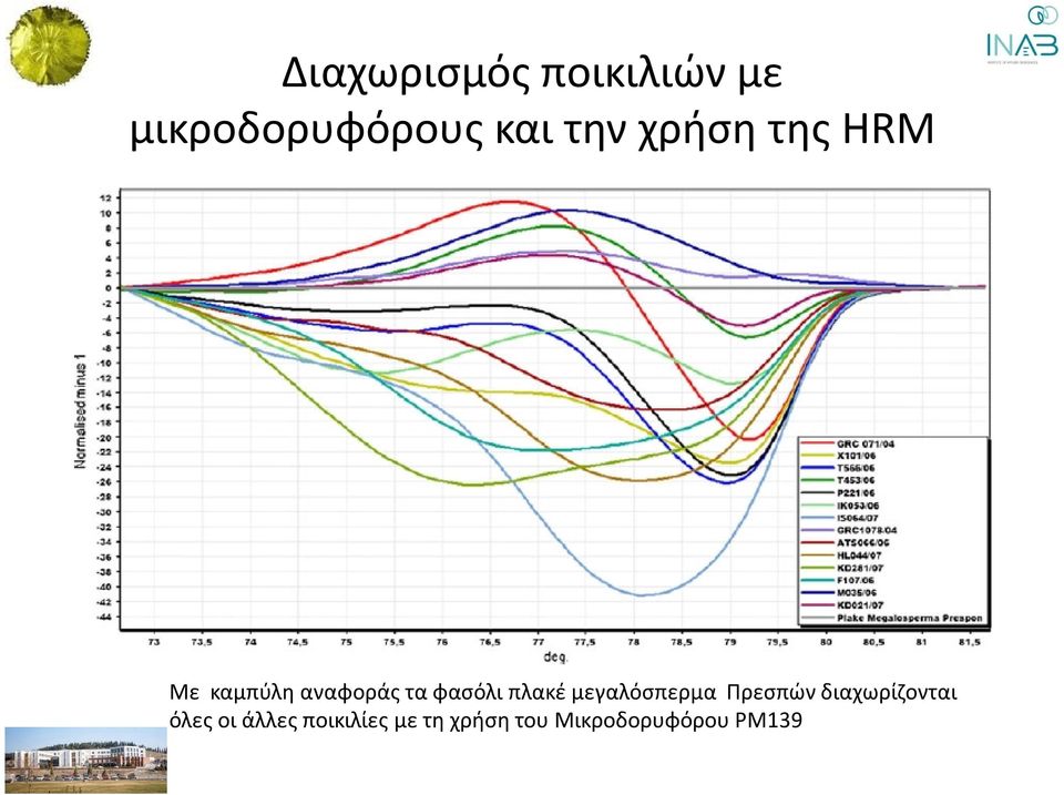 πλακέ μεγαλόσπερμα Πρεσπών διαχωρίζονται όλες οι