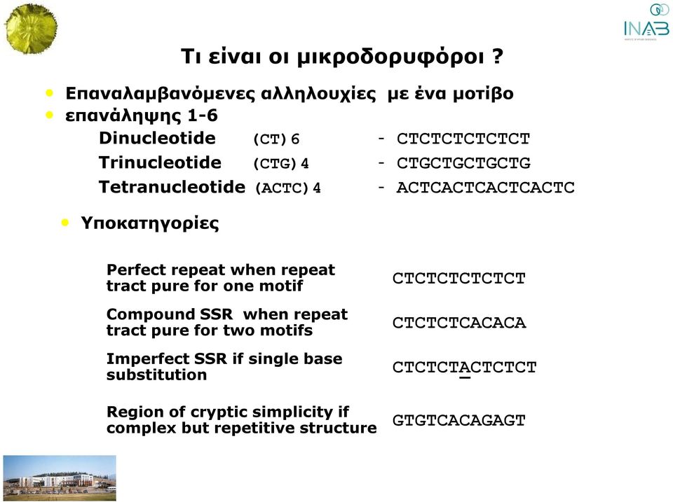 CTGCTGCTGCTG Tetranucleotide (ACTC)4 - ACTCACTCACTCACTC Υποκατηγορίες Perfect repeat when repeat tract pure for one