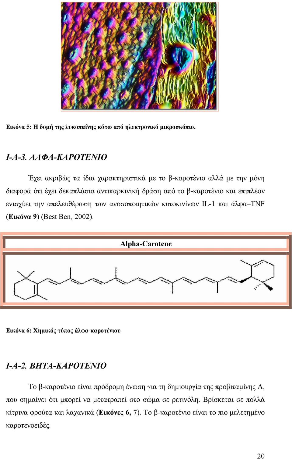 ενισχύει την απελευθέρωση των ανοσοποιητικών κυτοκινίνων IL-1 και άλφα ΤΝF (Εικόνα 9) (Best Βen, 2002). Alpha-Carotene Εικόνα 6: Χηµικός τύπος άλφα-καροτένιου I-A-2.