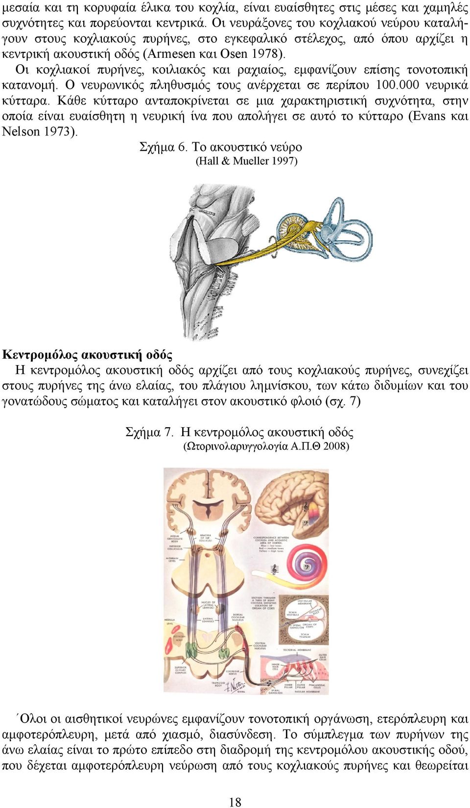 Οι κοχλιακοί πυρήνες, κοιλιακός και ραχιαίος, εμφανίζουν επίσης τονοτοπική κατανομή. Ο νευρωνικός πληθυσμός τους ανέρχεται σε περίπου 100.000 νευρικά κύτταρα.