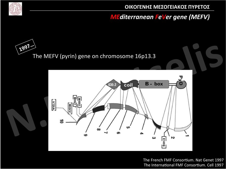 3 The French FMF ConsorZum.