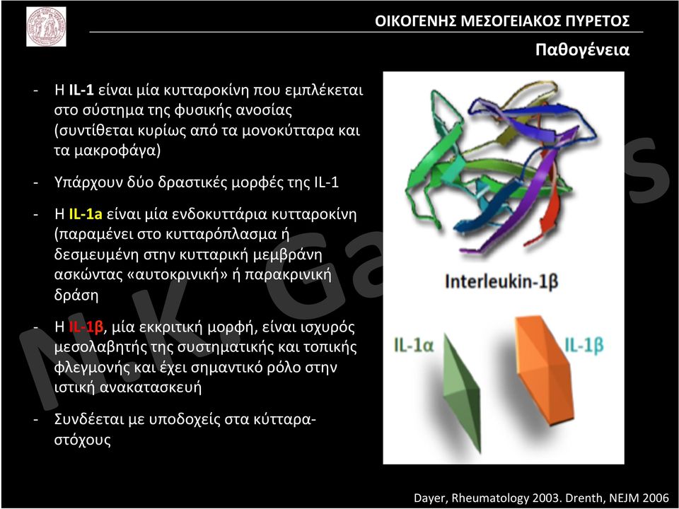 κυτταρική μεμβράνη ασκώντας «αυτοκρινική» ή παρακρινική δράση Η IL1β, μία εκκριτική μορφή, είναι ισχυρός μεσολαβητής της συστηματικής και