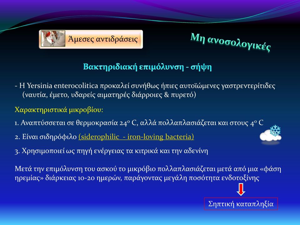 Είναι σιδηρόφιλο (siderophilic - iron-loving bacteria) 3.