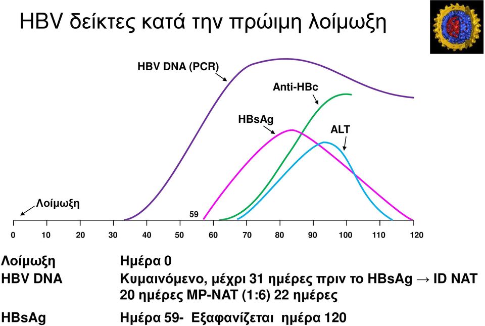 Ηµέρα 0 HBV DNA Κυµαινόµενο, µέχρι 31 ηµέρες πριν το HBsAg ID NAT