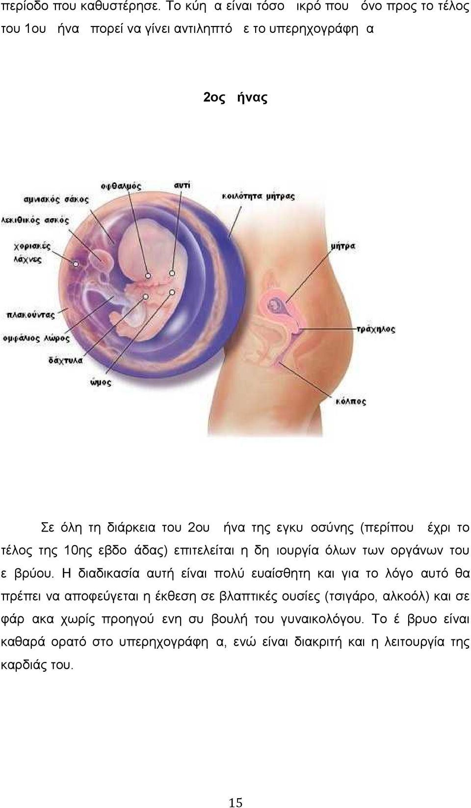 μήνα της εγκυμοσύνης (περίπου μέχρι το τέλος της 10ης εβδομάδας) επιτελείται η δημιουργία όλων των οργάνων του εμβρύου.