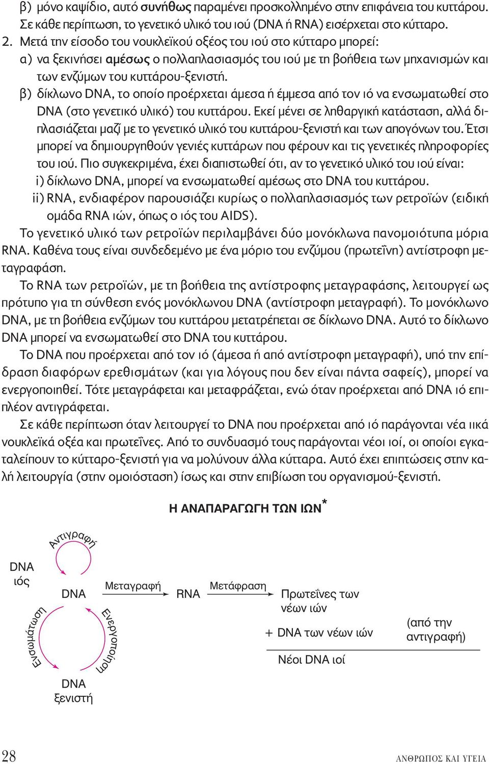 β) δίκλωνο DNA, το οποίο προέρχεται άμεσα ή έμμεσα από τον ιό να ενσωματωθεί στο DNA (στο γενετικό υλικό) του κυττάρου.