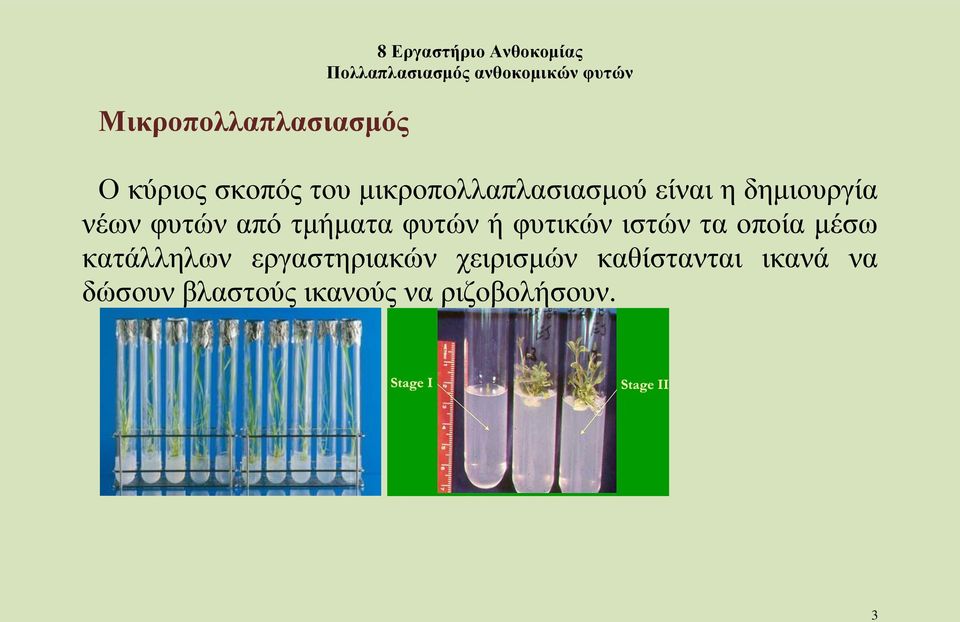 φυτών ή φυτικών ιστών τα οποία μέσω κατάλληλων εργαστηριακών