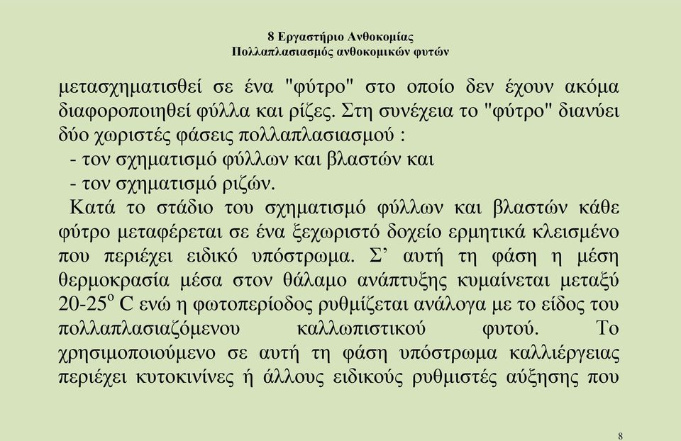 Κατά το στάδιο του σχηματισμό φύλλων και βλαστών κάθε φύτρο μεταφέρεται σε ένα ξεχωριστό δοχείο ερμητικά κλεισμένο που περιέχει ειδικό υπόστρωμα.