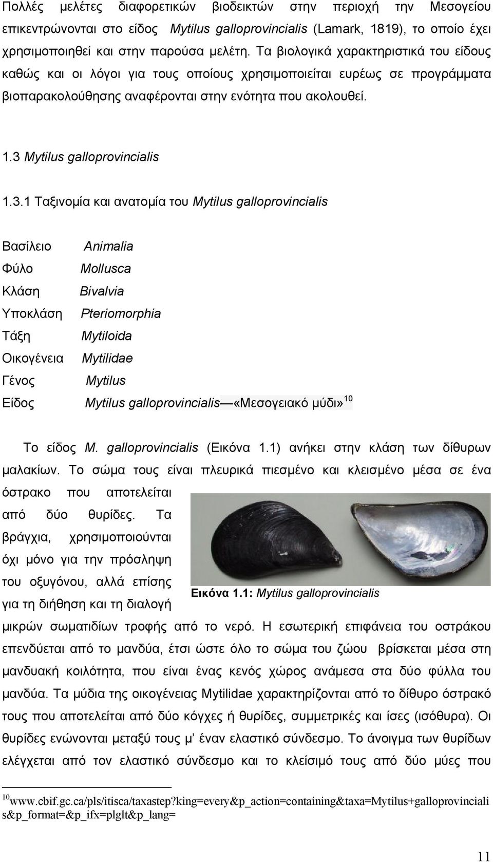 3 Mytilus galloprovincialis 1.3.1 Ταξινομία και ανατομία του Mytilus galloprovincialis Βασίλειο Animalia Φύλο Mollusca Κλάση Bivalvia Υποκλάση Pteriomorphia Τάξη Mytiloida Οικογένεια Mytilidae Γένος