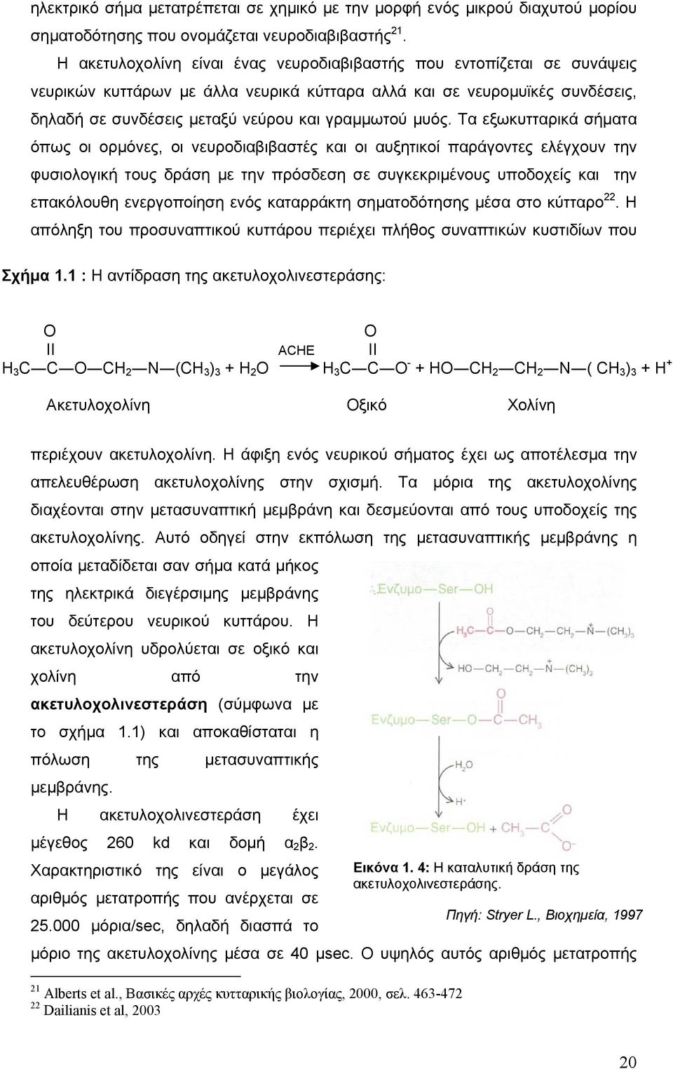 μυός. Τα εξωκυτταρικά σήματα όπως οι ορμόνες, οι νευροδιαβιβαστές και οι αυξητικοί παράγοντες ελέγχουν την φυσιολογική τους δράση με την πρόσδεση σε συγκεκριμένους υποδοχείς και την επακόλουθη