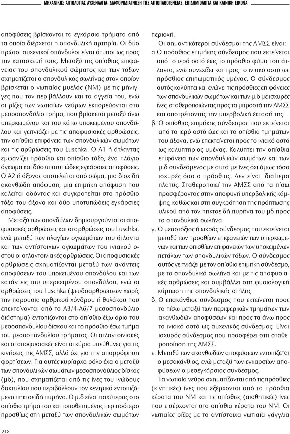 Μεταξύ της οπίσθιας επιφάνειας του σπονδυλικού σώματος και των τόξων σχηματίζεται ο σπονδυλικός σωλήνας στον οποίον βρίσκεται ο νωτιαίος μυελός (ΝΜ) με τις μήνιγγες που τον περιβάλλουν και τα αγγεία