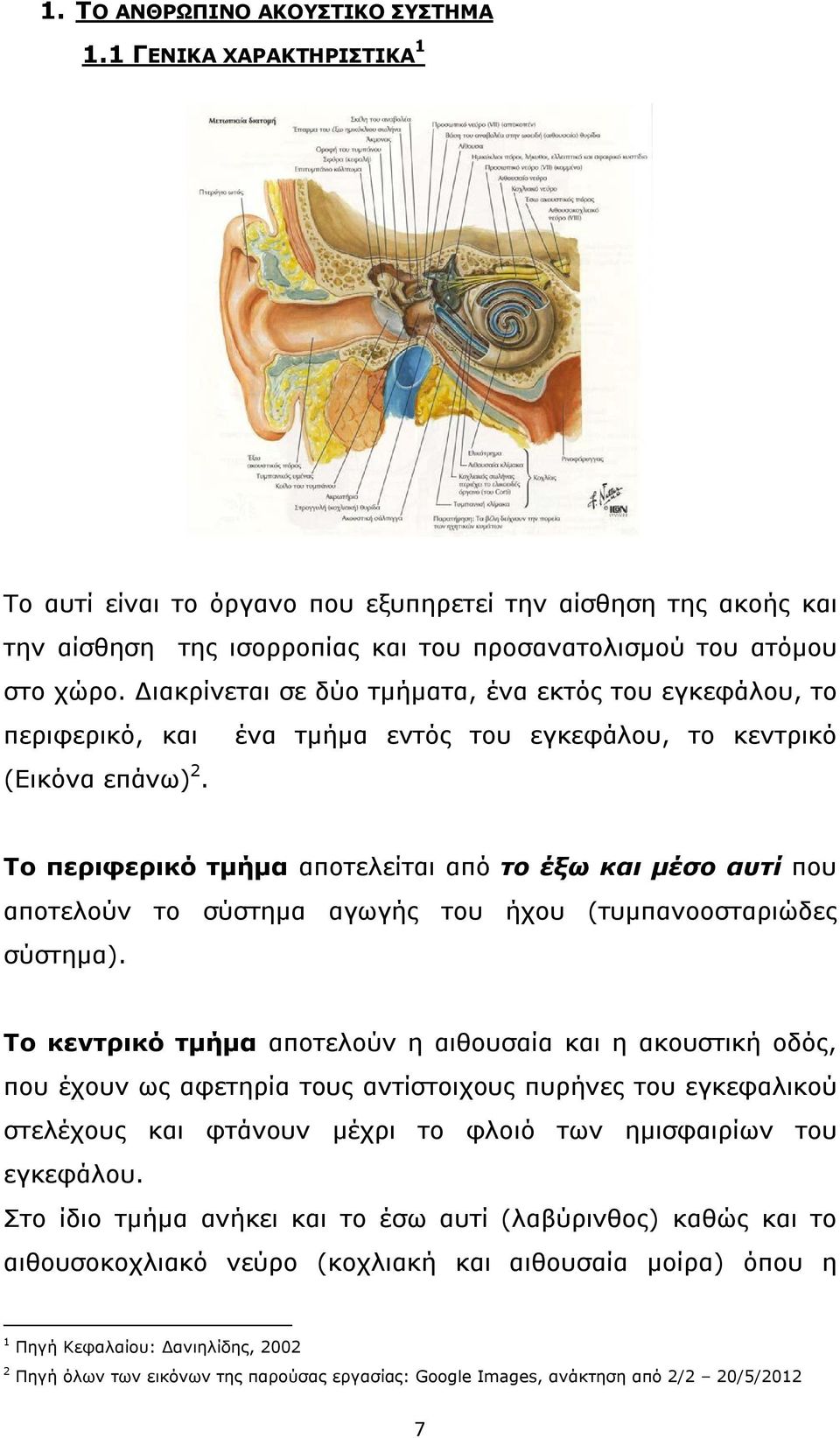 ένα τμήμα εντός του εγκεφάλου, το κεντρικό Το περιφερικό τμήμα αποτελείται από το έξω και μέσο αυτί που αποτελούν το σύστημα αγωγής του ήχου (τυμπανοοσταριώδες σύστημα).