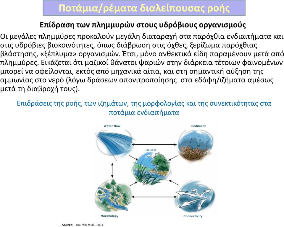 Εικάζεται ότι μαζικοί θάνατοι ψαριών στην διάρκεια τέτοιων φαινομένων μπορεί να οφείλονται, εκτός από μηχανικά αίτια, και στη σημαντική αύξηση της αμμωνίας στο νερό