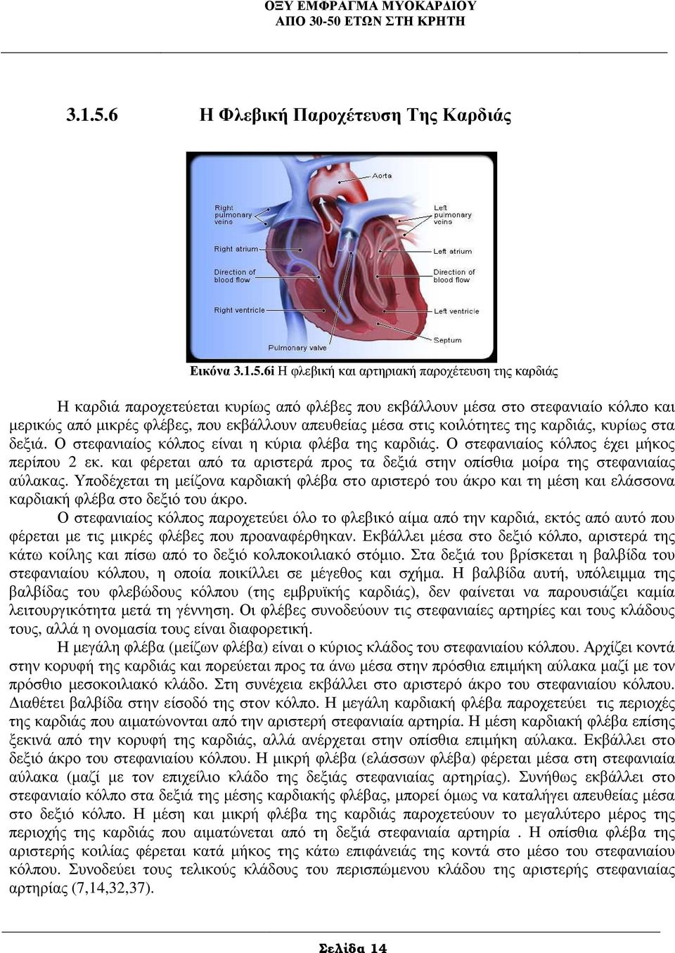 φλέβες, που εκβάλλουν απευθείας µέσα στις κοιλότητες της καρδιάς, κυρίως στα δεξιά. Ο στεφανιαίος κόλπος είναι η κύρια φλέβα της καρδιάς. Ο στεφανιαίος κόλπος έχει µήκος περίπου 2 εκ.