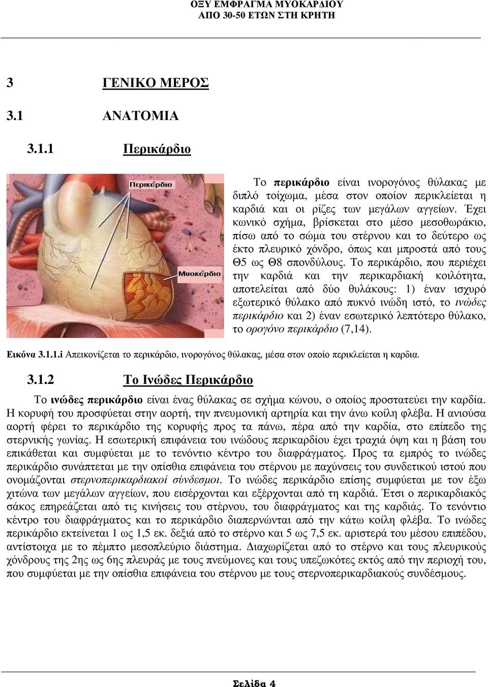 Το περικάρδιο, που περιέχει την καρδιά και την περικαρδιακή κοιλότητα, αποτελείται από δύο θυλάκους: 1) έναν ισχυρό εξωτερικό θύλακο από πυκνό ινώδη ιστό, το ινώδες περικάρδιο και 2) έναν εσωτερικό