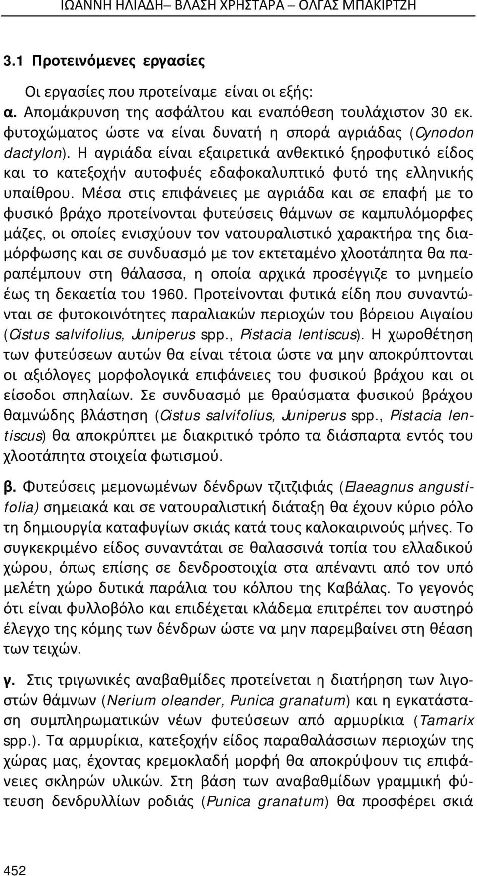 Μέσα στις επιφάνειες με αγριάδα και σε επαφή με το φυσικό βράχο προτείνονται φυτεύσεις θάμνων σε καμπυλόμορφες μάζες, οι οποίες ενισχύουν τον νατουραλιστικό χαρακτήρα της διαμόρφωσης και σε συνδυασμό