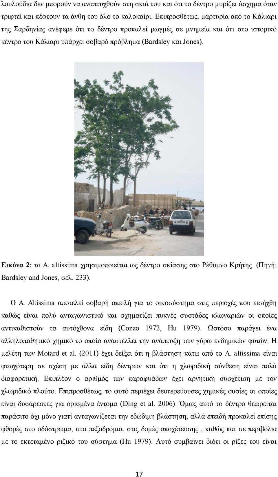 Εικόνα 2: το A. altissima χρησιμοποιείται ως δέντρο σκίασης στο Ρέθυμνο Κρήτης. (Πηγή: Bardsley and Jones, σελ. 233). Ο A.