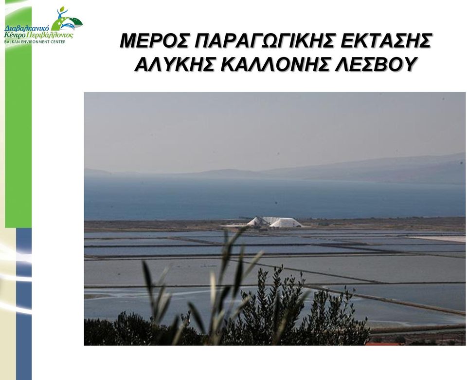 ΕΚΤΑΣΗΣ