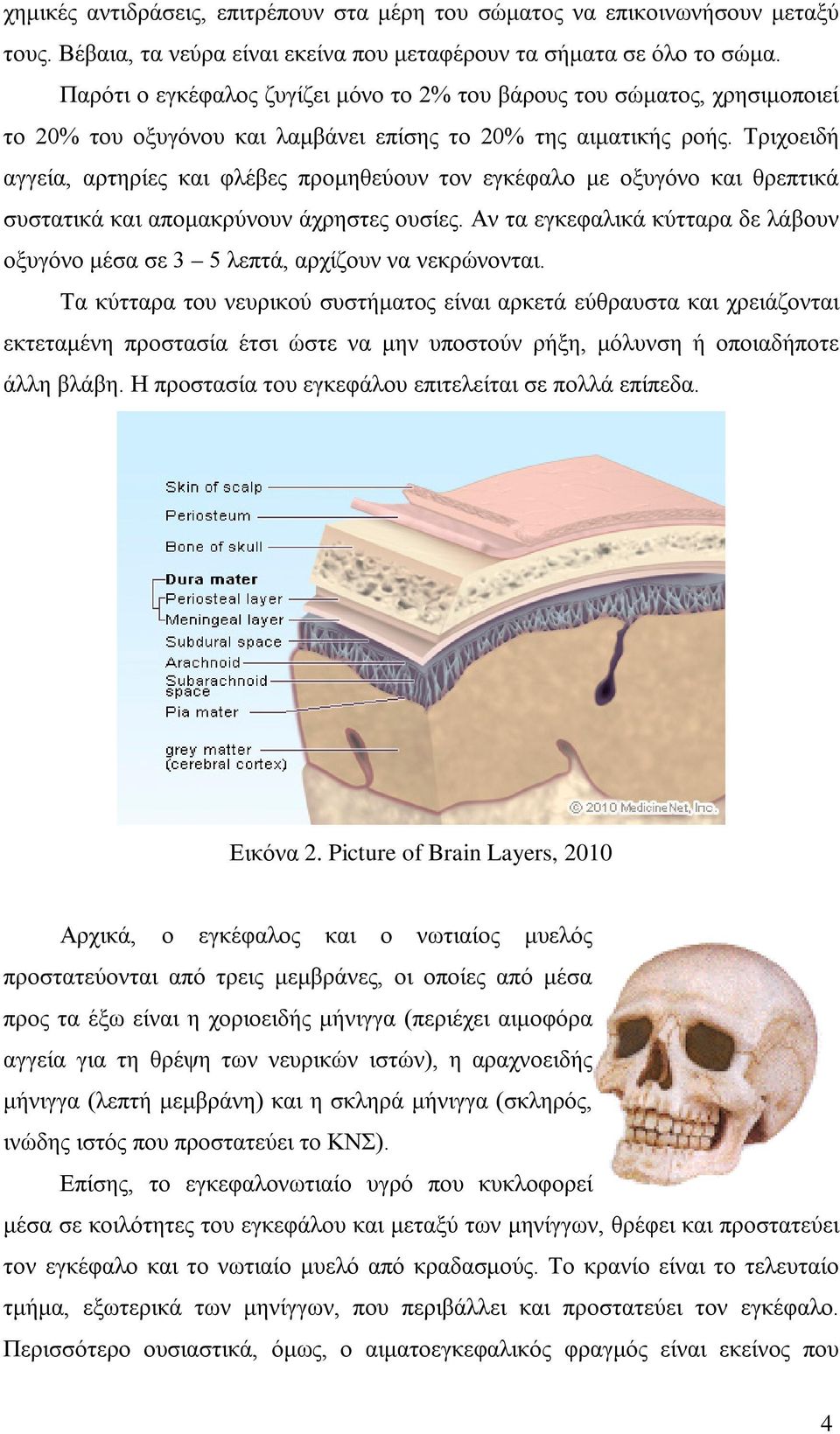 Τριχοειδή αγγεία, αρτηρίες και φλέβες προμηθεύουν τον εγκέφαλο με οξυγόνο και θρεπτικά συστατικά και απομακρύνουν άχρηστες ουσίες.