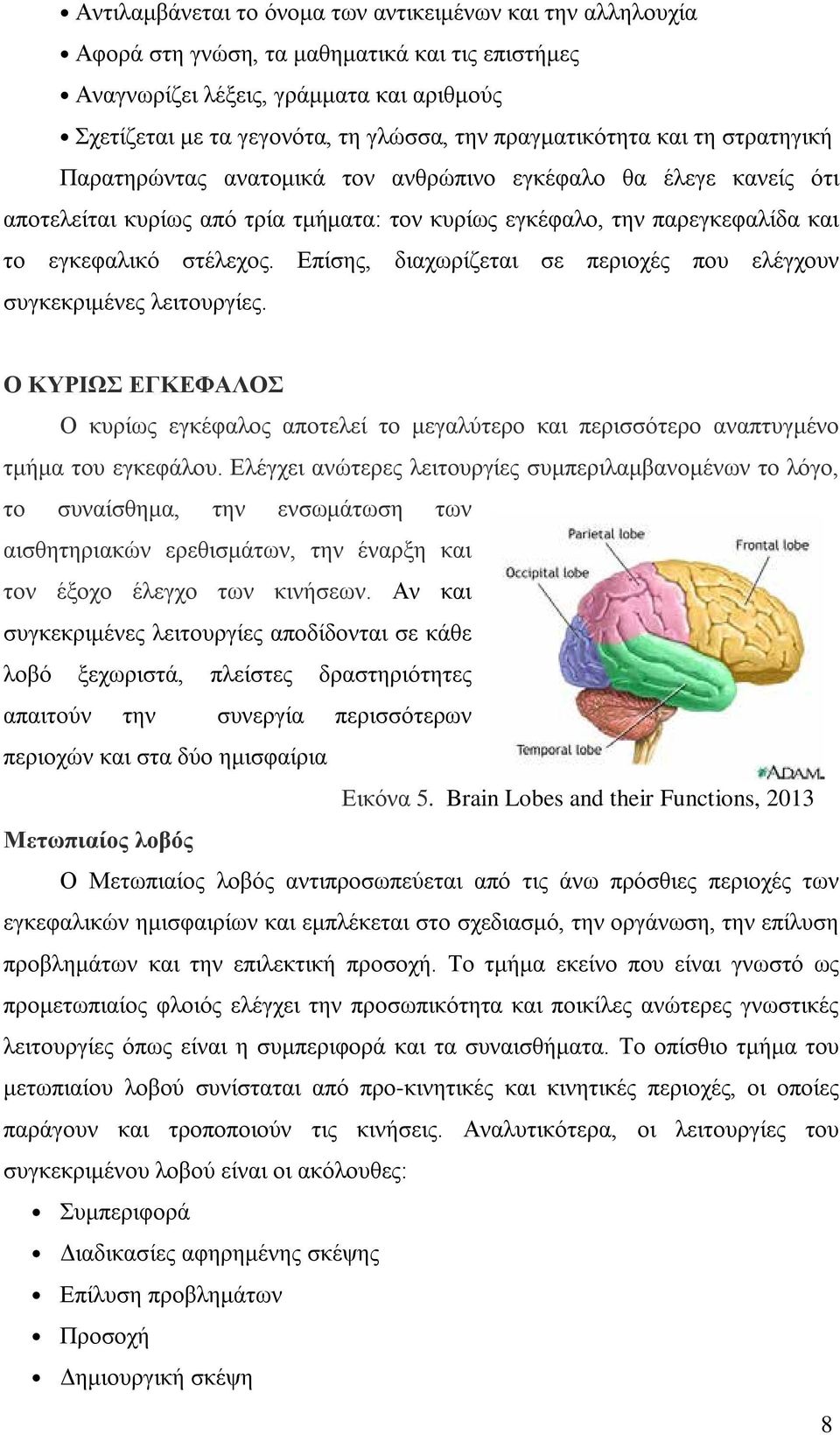 στέλεχος. Επίσης, διαχωρίζεται σε περιοχές που ελέγχουν συγκεκριμένες λειτουργίες. Ο ΚΥΡΙΩΣ ΕΓΚΕΦΑΛΟΣ Ο κυρίως εγκέφαλος αποτελεί το μεγαλύτερο και περισσότερο αναπτυγμένο τμήμα του εγκεφάλου.