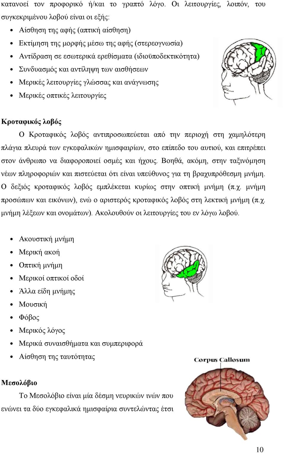 (ιδιοϋποδεκτικότητα) Συνδυασμός και αντίληψη των αισθήσεων Μερικές λειτουργίες γλώσσας και ανάγνωσης Μερικές οπτικές λειτουργίες Κροταφικός λοβός Ο Κροταφικός λοβός αντιπροσωπεύεται από την περιοχή