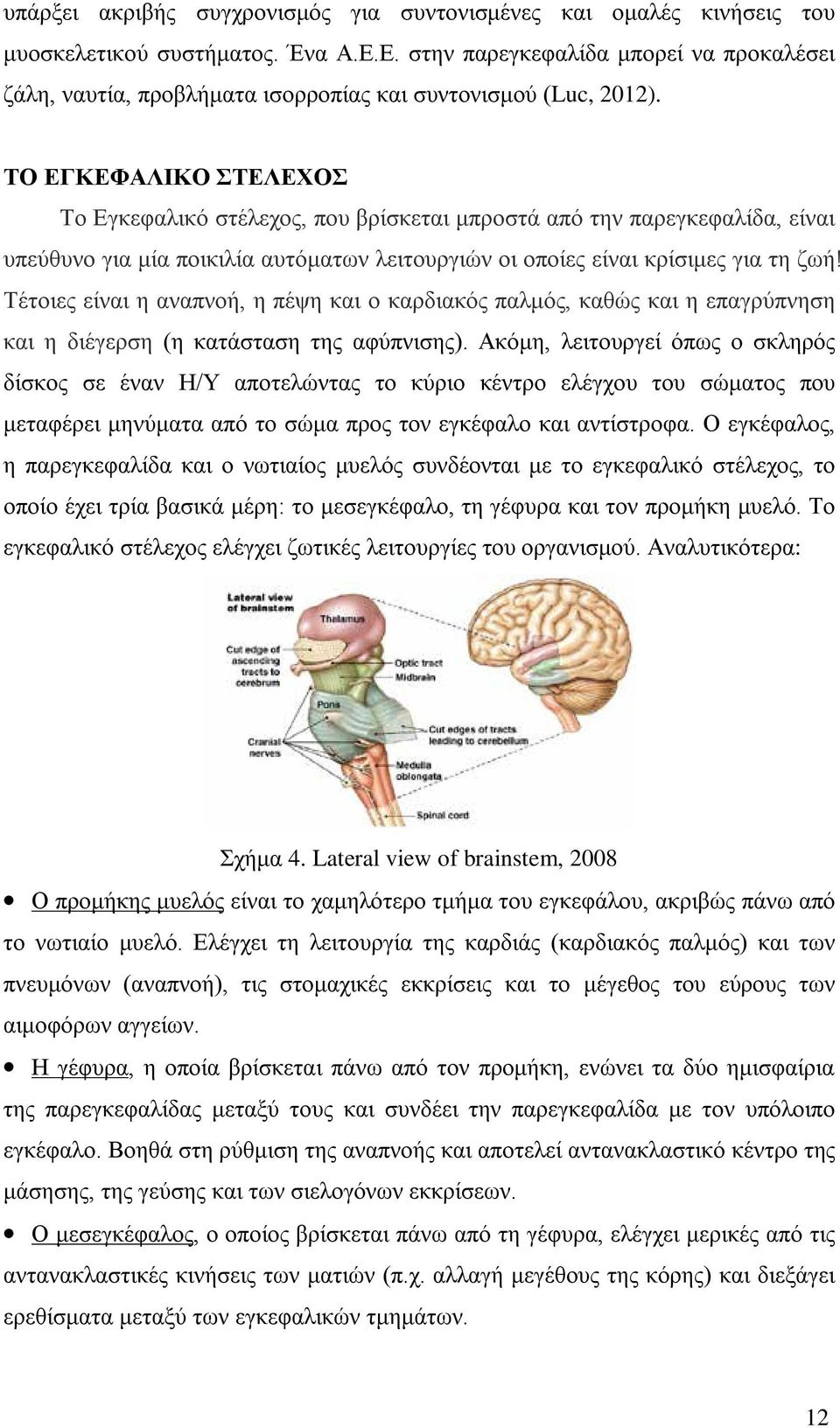 ΤΟ ΕΓΚΕΦΑΛΙΚΟ ΣΤΕΛΕΧΟΣ Το Εγκεφαλικό στέλεχος, που βρίσκεται μπροστά από την παρεγκεφαλίδα, είναι υπεύθυνο για μία ποικιλία αυτόματων λειτουργιών οι οποίες είναι κρίσιμες για τη ζωή!