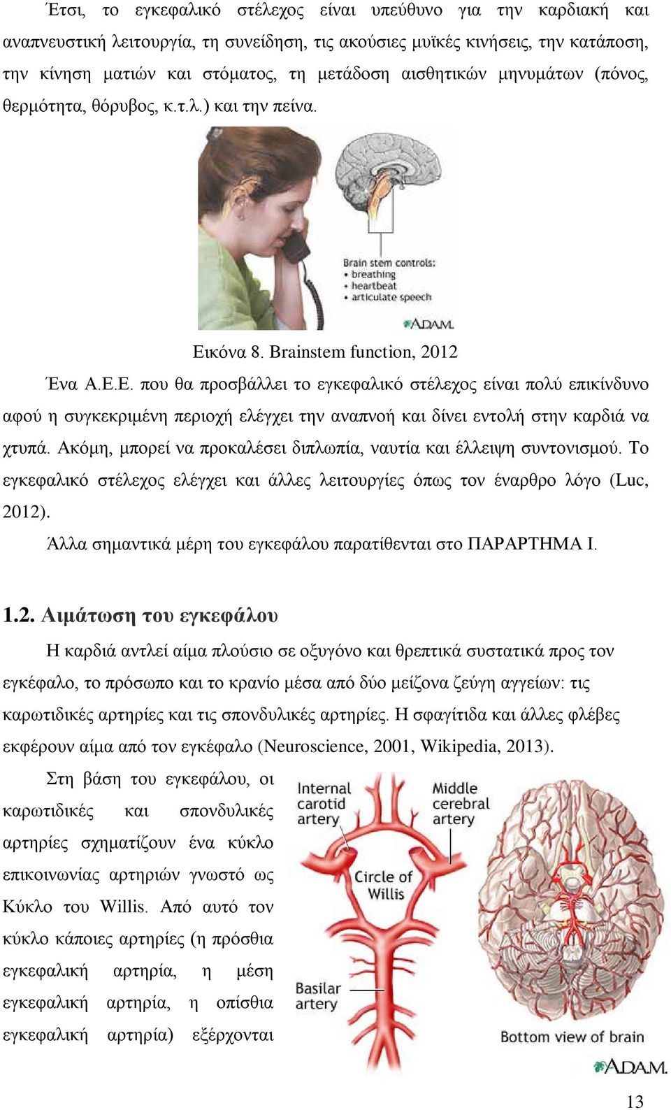 κόνα 8. Brainstem function, 2012 Ένα Α.Ε.Ε. που θα προσβάλλει το εγκεφαλικό στέλεχος είναι πολύ επικίνδυνο αφού η συγκεκριμένη περιοχή ελέγχει την αναπνοή και δίνει εντολή στην καρδιά να χτυπά.