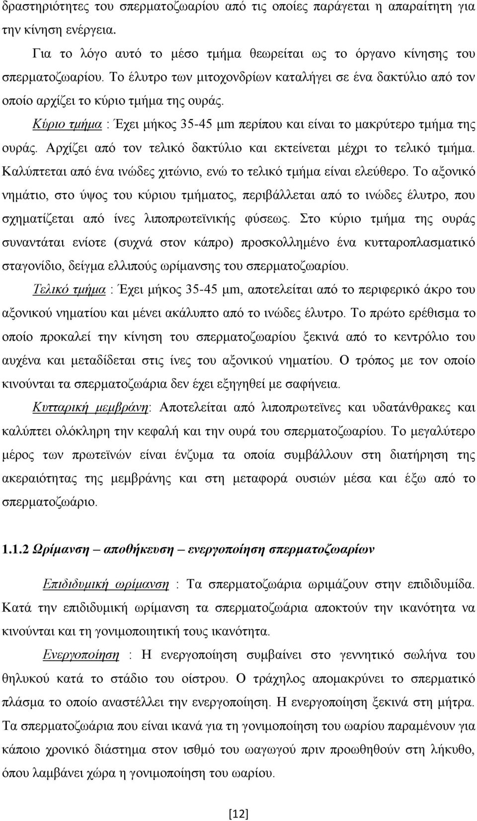 Αρχίζει από τον τελικό δακτύλιο και εκτείνεται μέχρι το τελικό τμήμα. Καλύπτεται από ένα ινώδες χιτώνιο, ενώ το τελικό τμήμα είναι ελεύθερο.