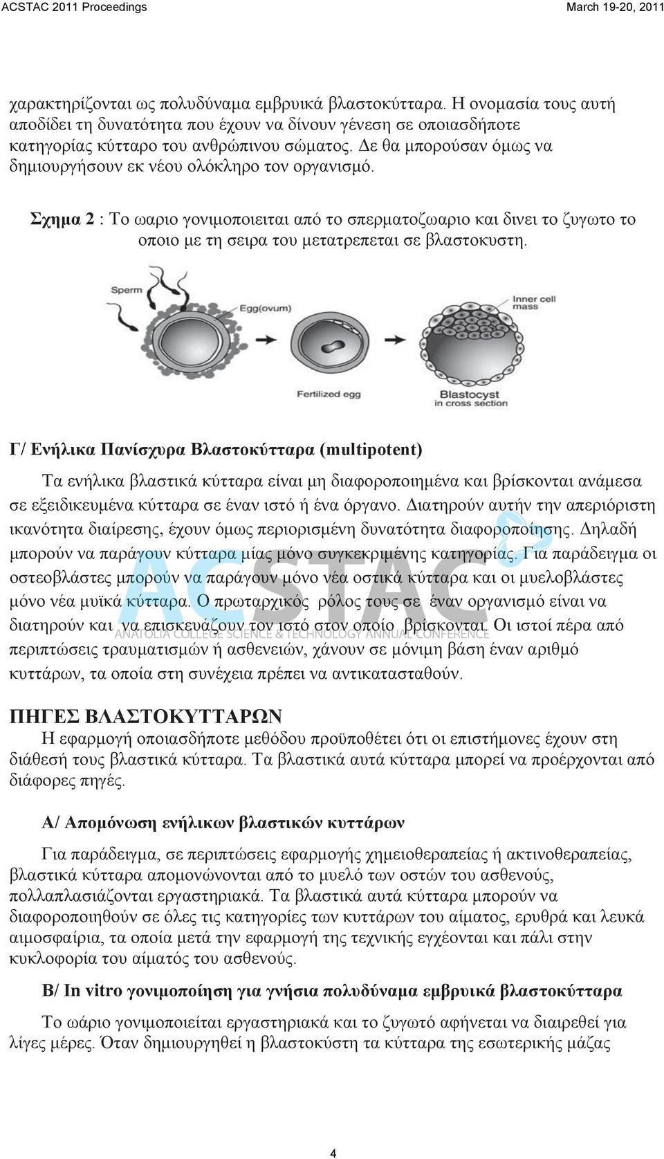 Γ/ Ενήλικα Πανίσχυρα Βλαστοκύτταρα (multipotent) Τα ενήλικα βλαστικά κύτταρα είναι μη διαφοροποιημένα και βρίσκονται ανάμεσα σε εξειδικευμένα κύτταρα σε έναν ιστό ή ένα όργανο.