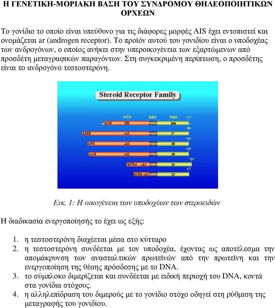 Στη συγκεκριµένη περίπτωση, ο προσδέτης είναι το ανδρογόνο τεστοστερόνη. Εικ. 1: Η οικογένεια των υποδοχέων των στεροειδών Η διαδικασία ενεργοποίησής το έχει ως εξής: 1.