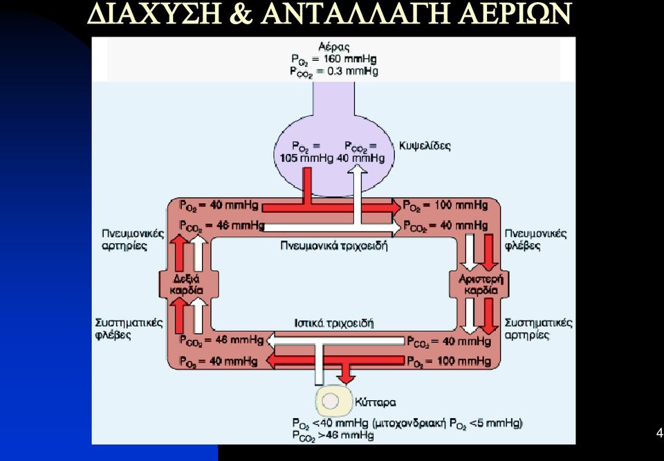 ΑΕΡΙΩΝ 4