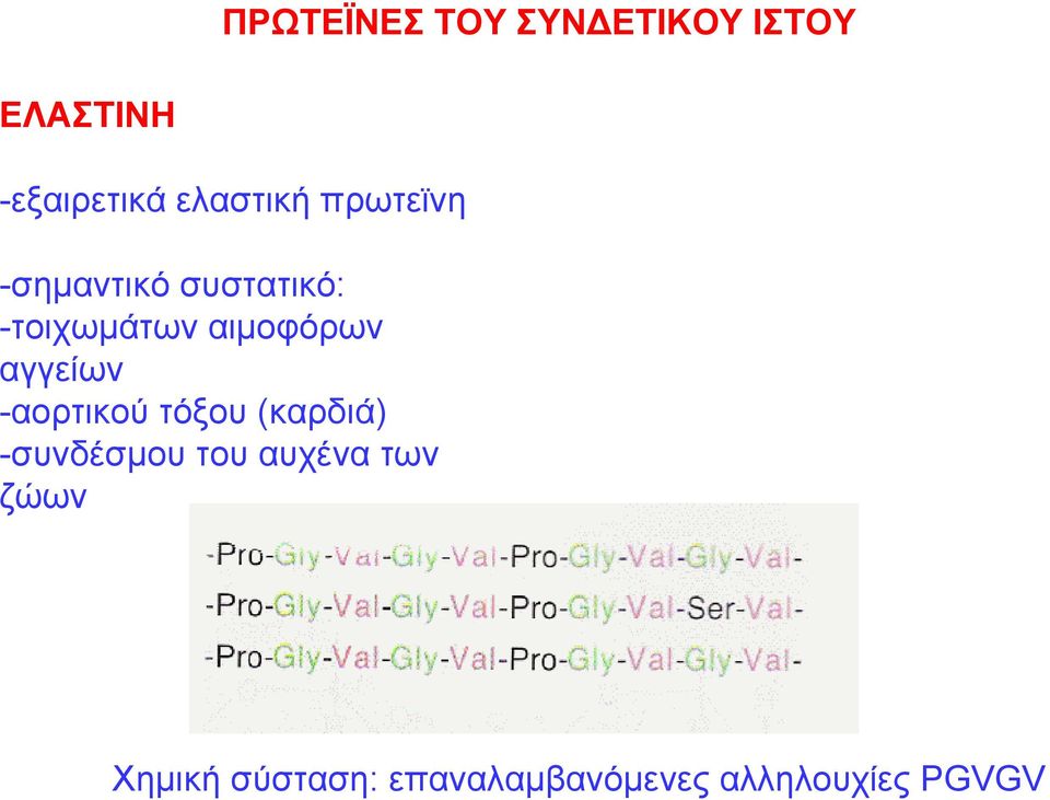 αιμοφόρων αγγείων -αορτικού τόξου (καρδιά) -συνδέσμου του