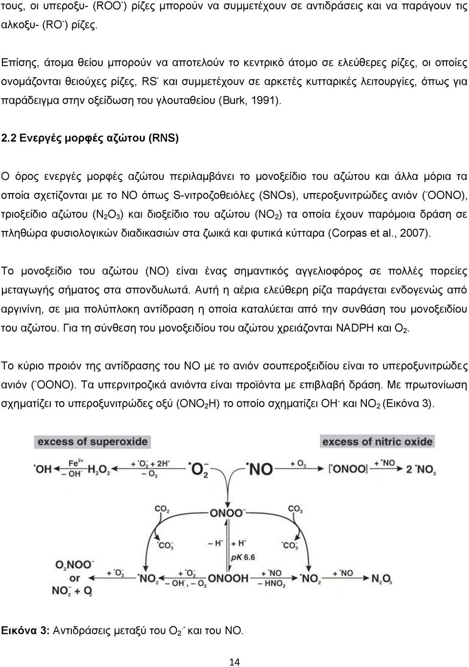 οξείδωση του γλουταθείου (Burk, 1991). 2.