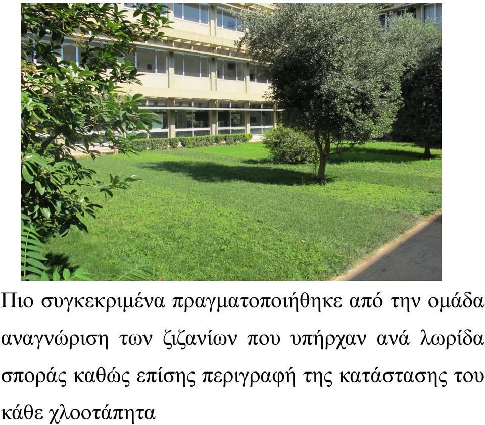 υπήρχαν ανά λωρίδα σποράς καθώς επίσης