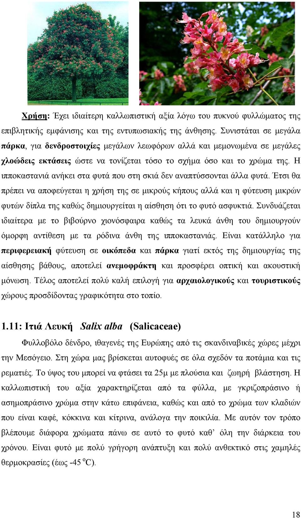 Η ιπποκαστανιά ανήκει στα φυτά που στη σκιά δεν αναπτύσσονται άλλα φυτά.