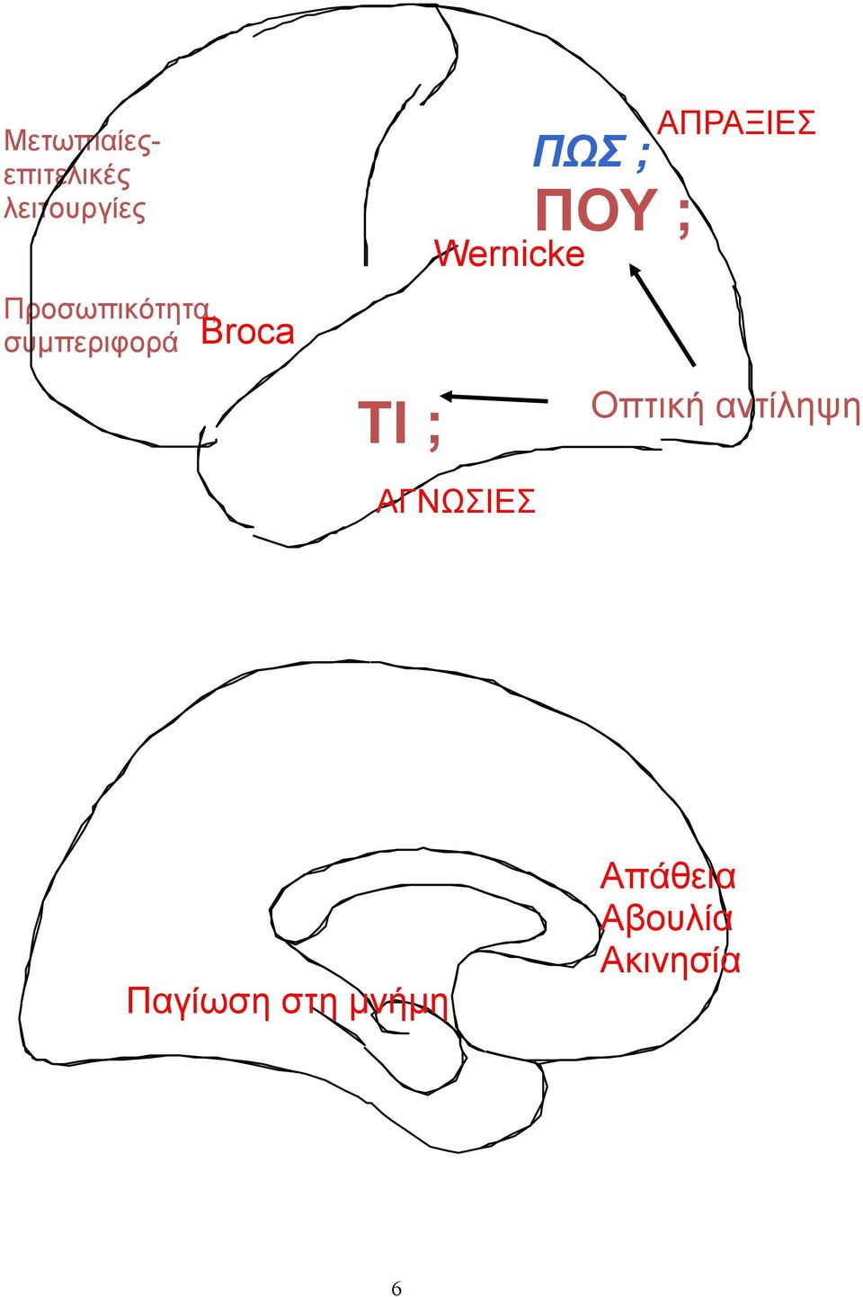 Wernicke ΑΓΝΩΣΙΕΣ ΠΩΣ ; ΠΟΥ ; ΑΠΡΑΞΙΕΣ