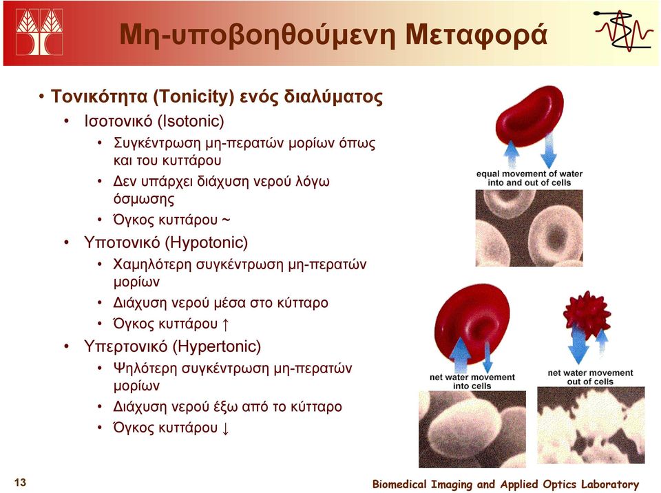 Υποτονικό (Hypotonic) Χαμηλότερη συγκέντρωση μη-περατών μορίων Διάχυση νερού μέσα στο κύτταρο Όγκος