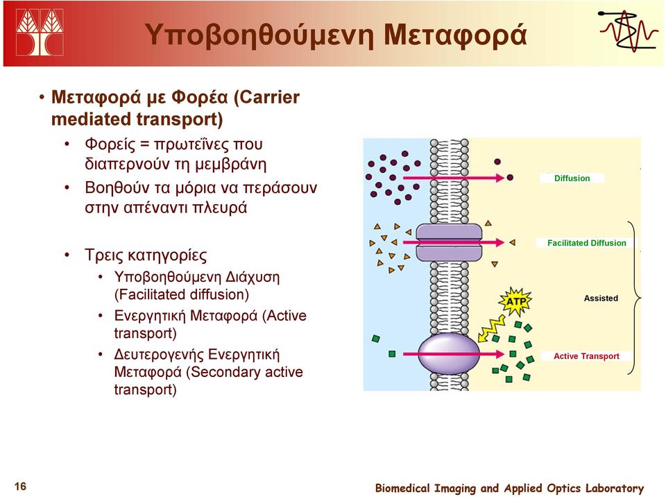 κατηγορίες Υποβοηθούμενη Διάχυση (Facilitated diffusion) Ενεργητική Μεταφορά (Active transport)