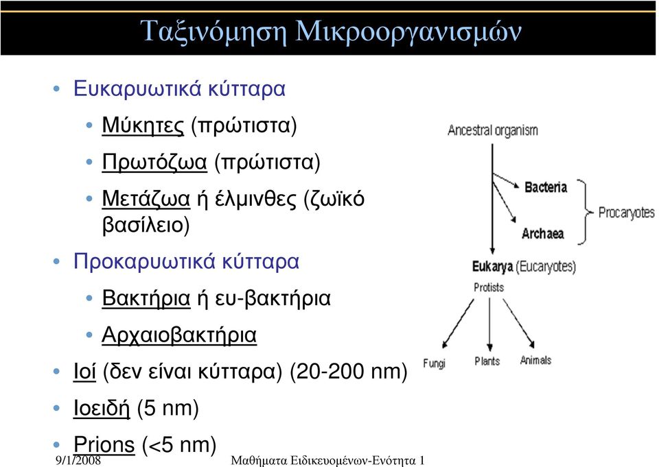 βασίλειο) Προκαρυωτικά κύτταρα Βακτήρια ή ευ-βακτήρια
