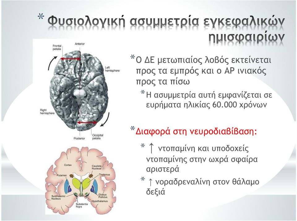 000 χρόνων * ιαφορά στη νευροδιαβίβαση: * ντοπαµίνη και υποδοχείς