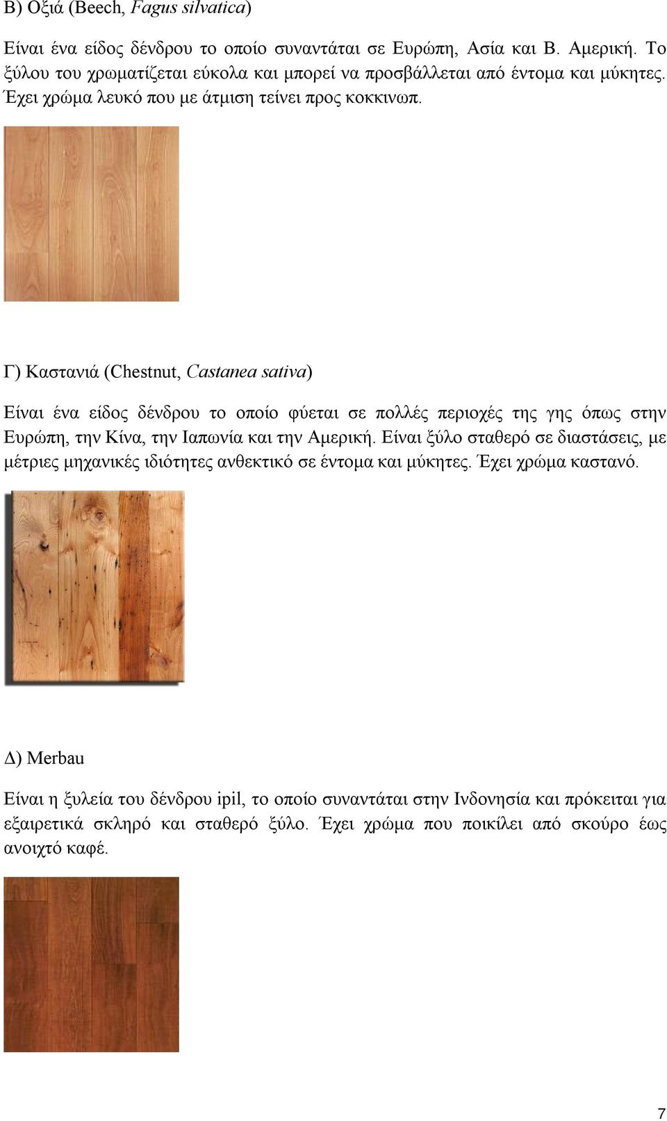 Γ) Καστανιά (Chestnut, Castanea sativa) Είναι ένα είδος δένδρου το οποίο φύεται σε πολλές περιοχές της γης όπως στην Ευρώπη, την Κίνα, την Ιαπωνία και την Αμερική.