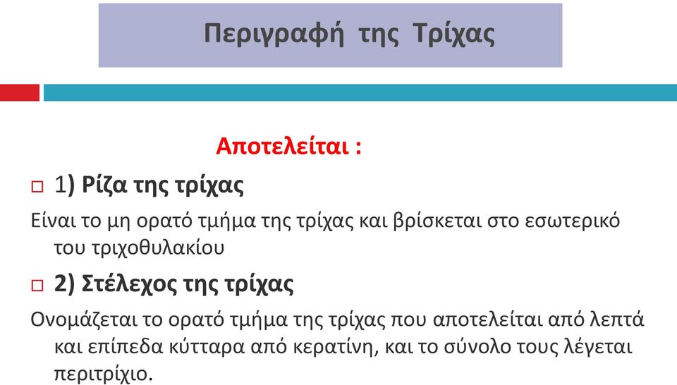 Στέλεχος της τρίχας Ονομάζεται το ορατό τμήμα της τρίχας που αποτελείται